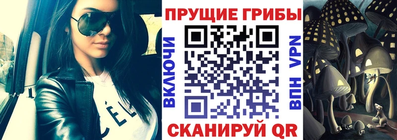 Псилоцибиновые грибы GOLDEN TEACHER  где найти   Славск 