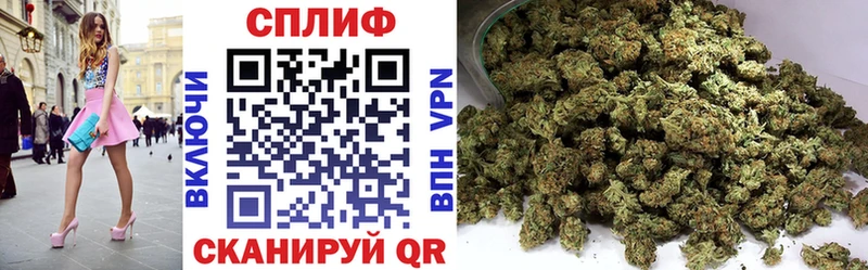 Бошки марихуана конопля  Славск 